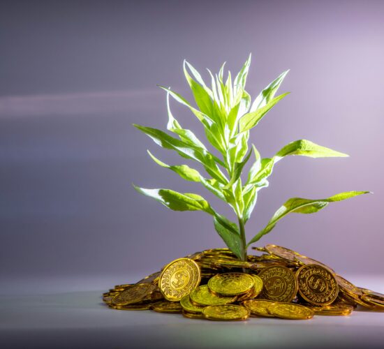 Investment Advantage